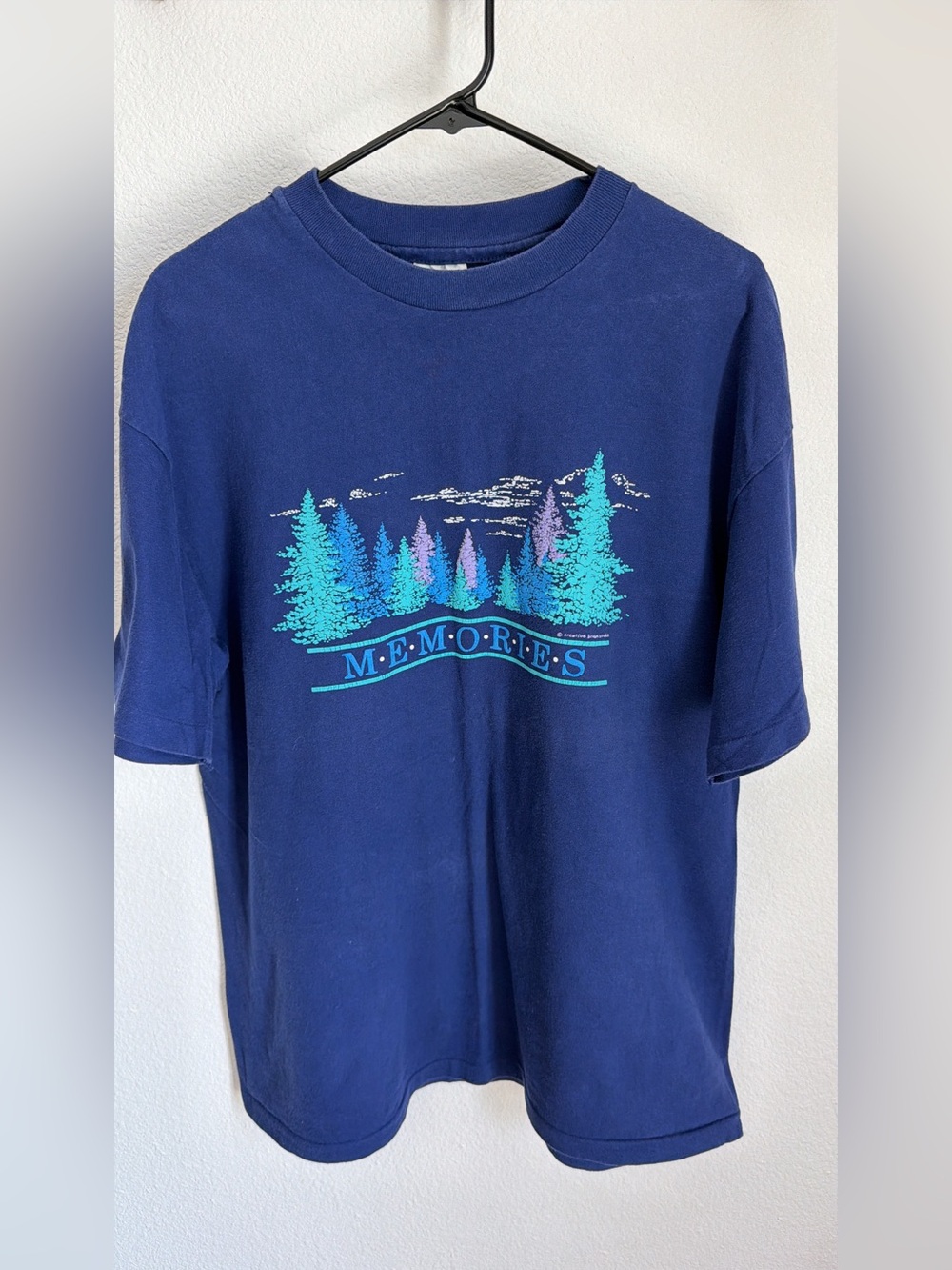 Vintage 90s / Y2K Hanes Beefy - Blue Memories